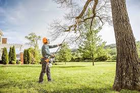 Best Commercial Tree Services  in Sunman, IN