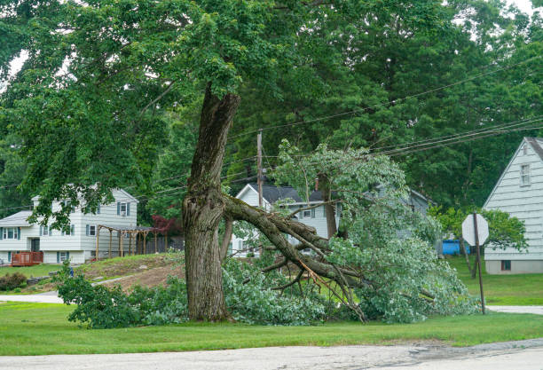 Lawn Drainage Solutions in Sunman, IN